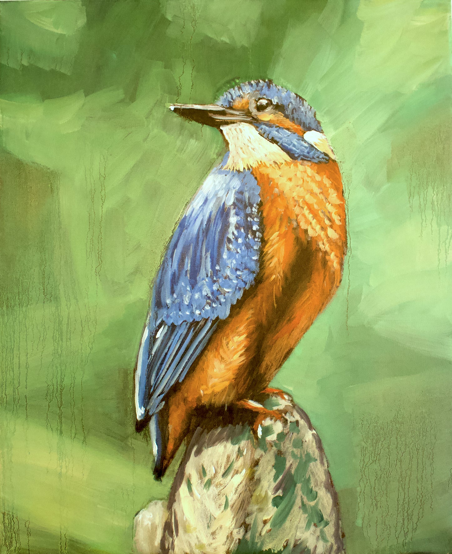 Kingfisher